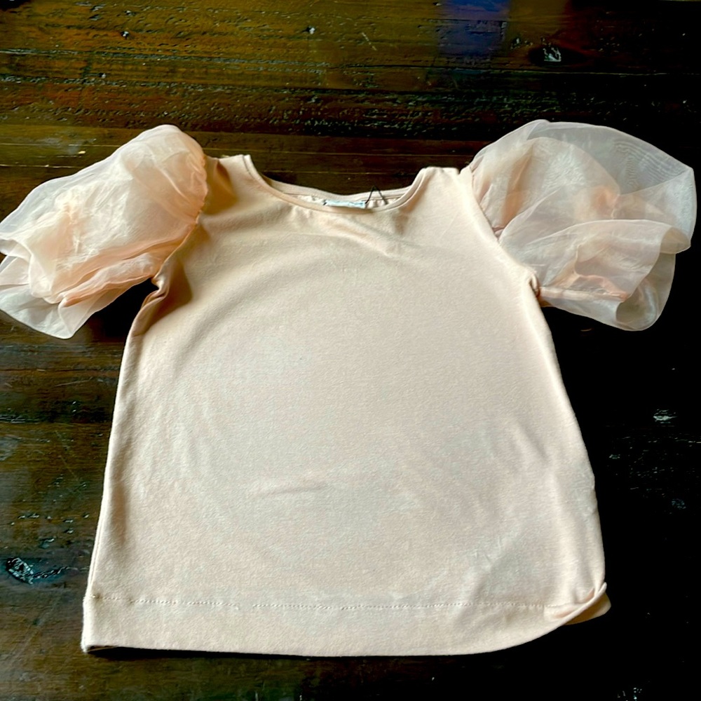 Pink Zara top with puff sleeves size 6